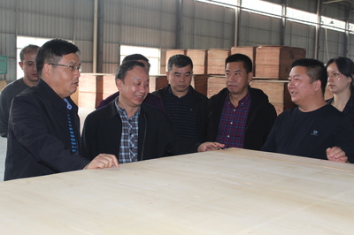 市林業(yè)局赴貴港、柳州等地開展木材精深加工考察及招商引資活動(dòng)