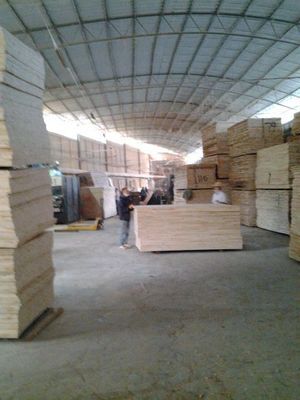 公司介紹 - 濟(jì)南福港森樺木業(yè) - 九正(中國建材第一網(wǎng))