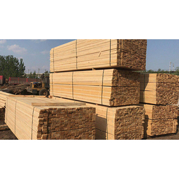 拉薩木材市場(chǎng)介紹與鼎泰豐木業(yè)推薦