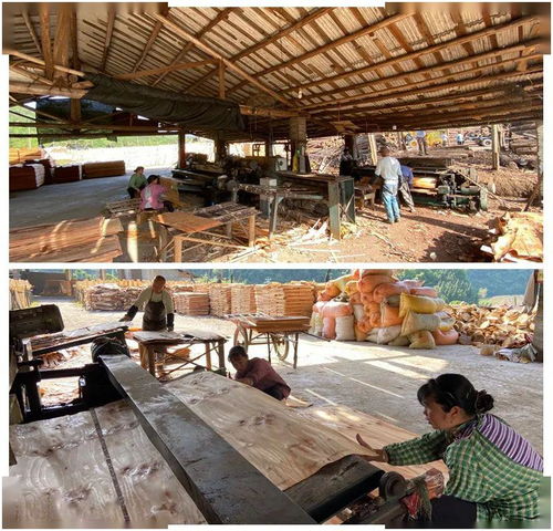 木業(yè)加工廠復(fù)工助力拓寬就業(yè)渠道